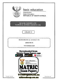 Mathematical Literacy P2 Nov 2020 Addendum Eng.pdf
